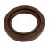 Oil seal Oil seal