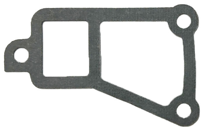 Gasket thermostat housing