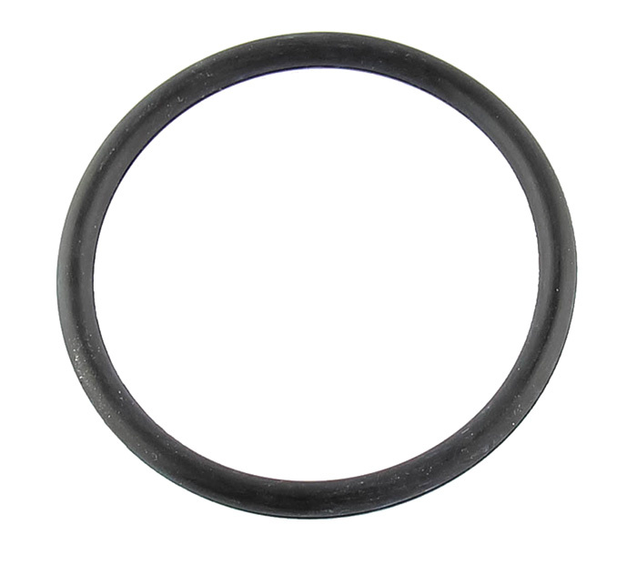 O-ring gasket intake manifold