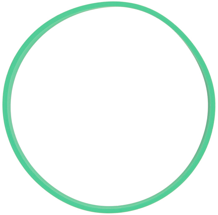 Gasket intake manifold