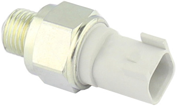 Reverse light switch