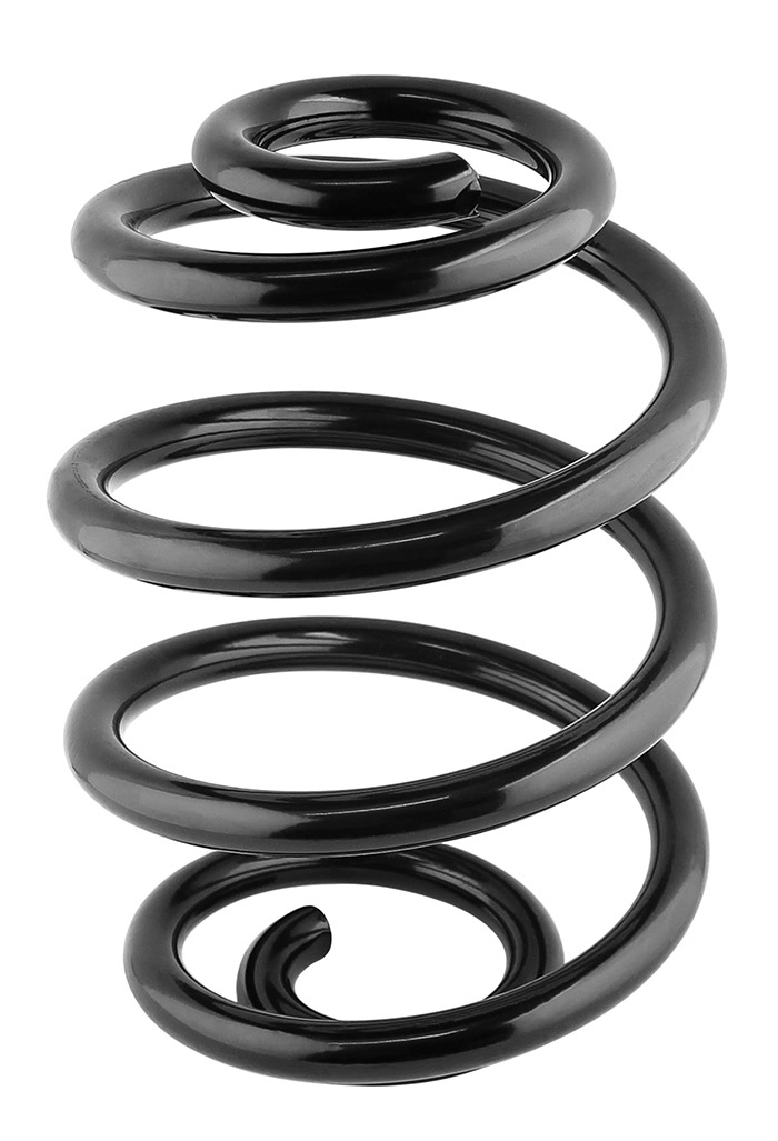 Coil spring rear