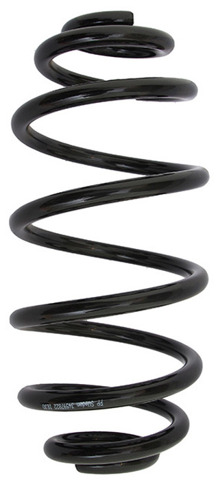 Coil spring rear