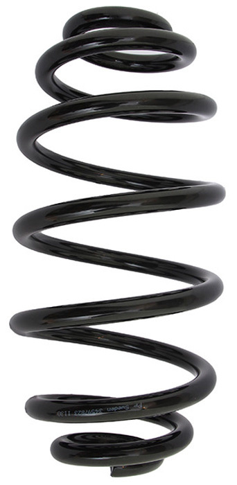 Coil spring rear HD