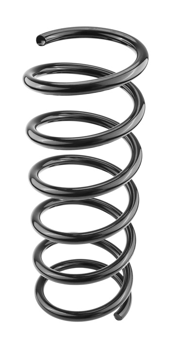 Coil spring rear