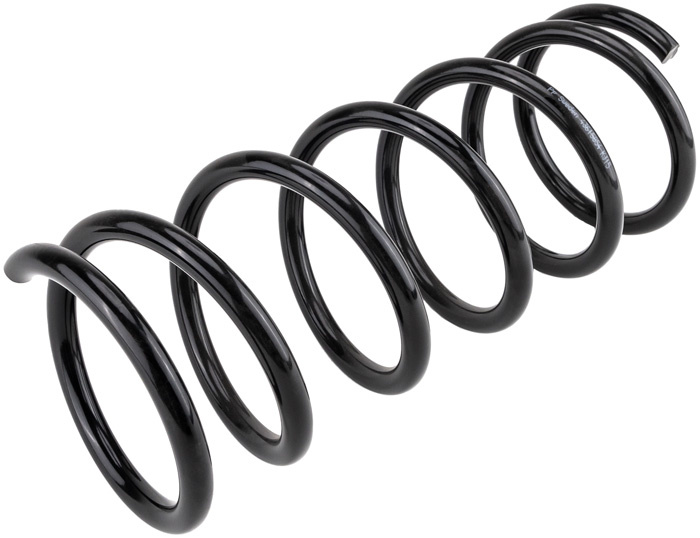 Coil spring rear