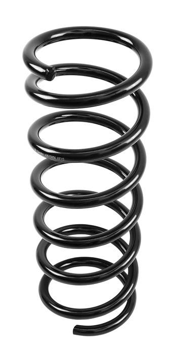 Coil spring rear