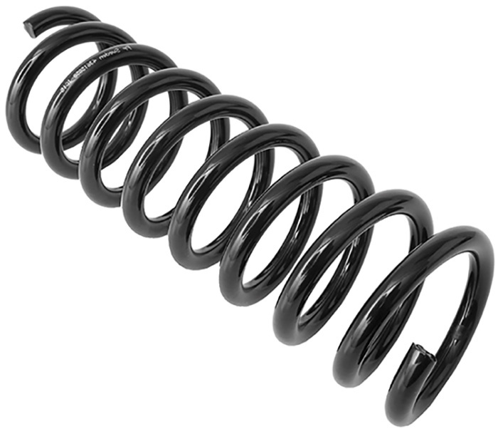 Coil spring rear