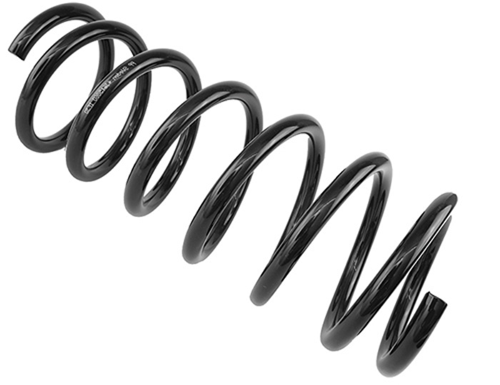 Coil spring rear
