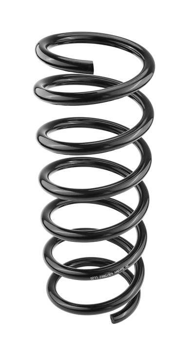 Coil spring rear