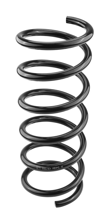 Coil spring rear
