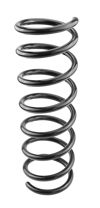 Coil spring rear