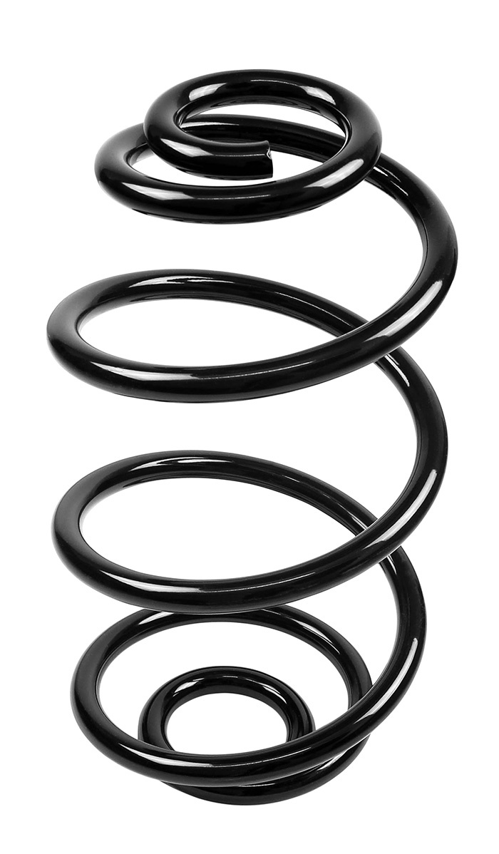 Coil spring rear