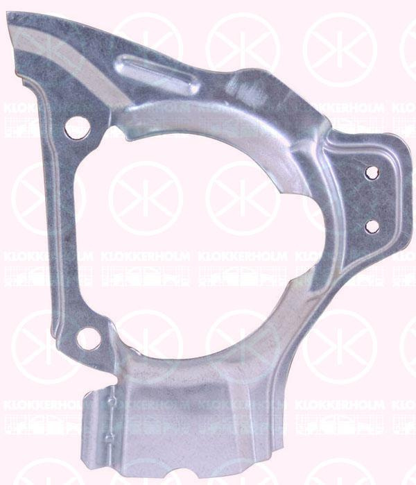 Brake dust shield front left