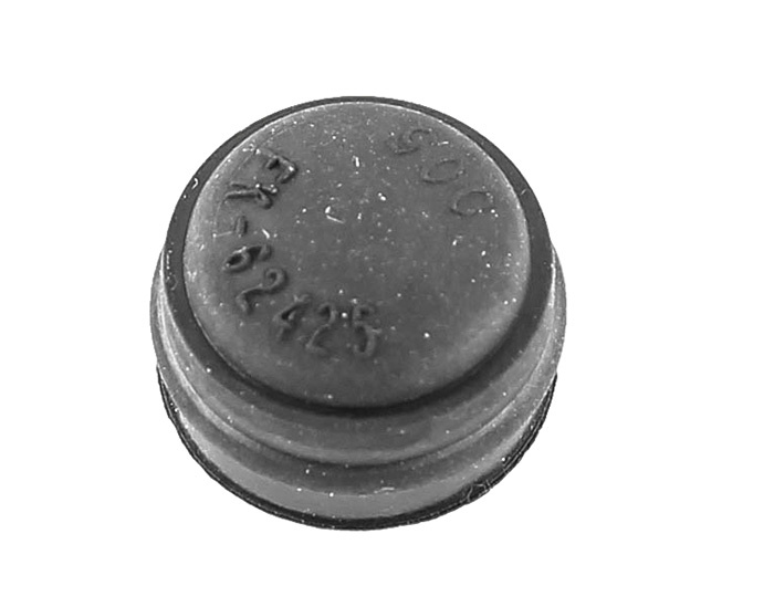 Dust cap bleeder screw