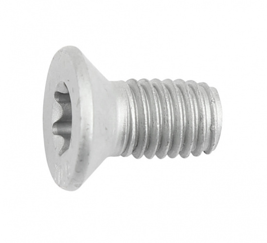 Bolt brake disc centering screw