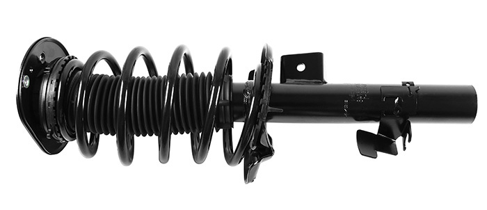 Shock absorber kit with spring and strut mounts