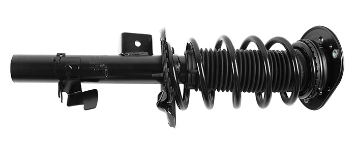 Shock absorber kit with spring and strut mounts