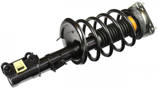 Shock absorber kit with spring and strut mounts