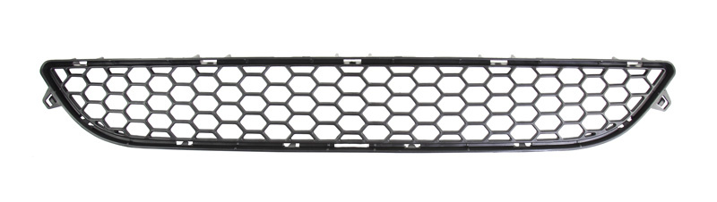 Lower front grill