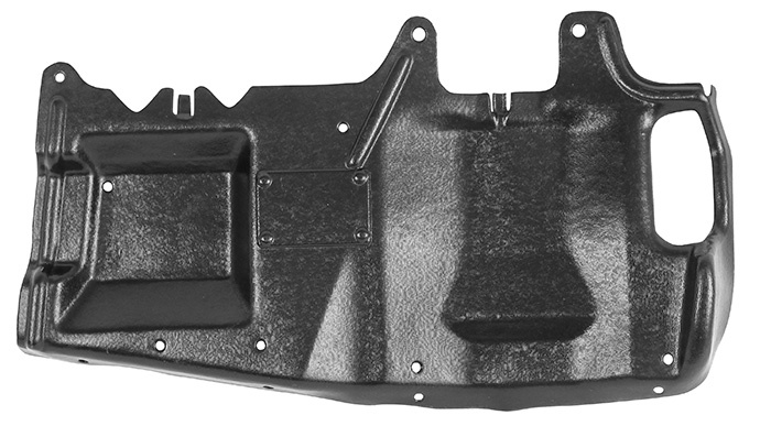 Engine protecting plate