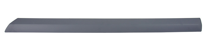 Trim moulding rear left side