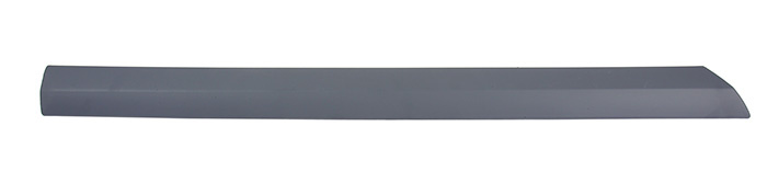 Trim moulding rear right side