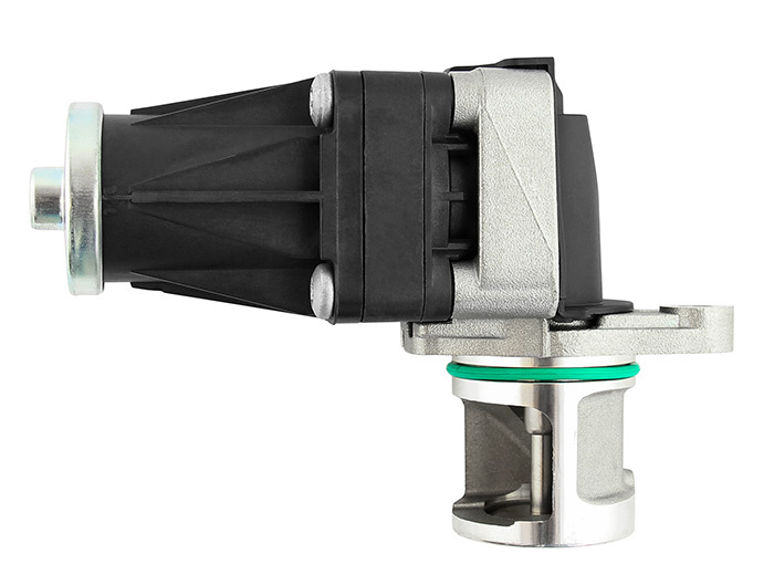 EGR valve