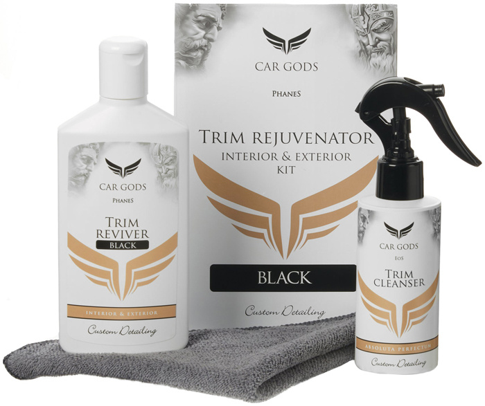 Interior & Exterior Trim Rejuvenator Kit - Black