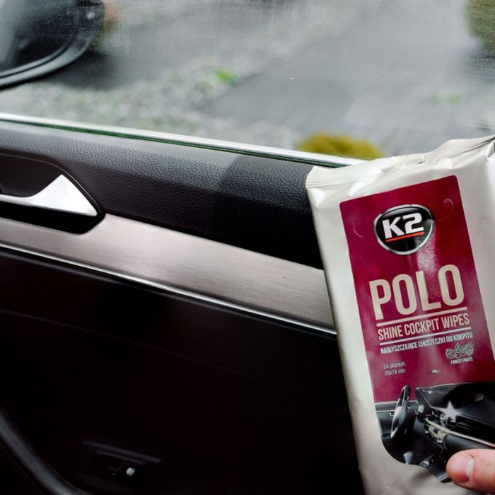 Polo Shine Wipes